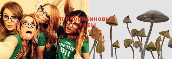 героин Пересвет