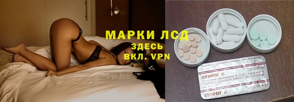 apvp Алзамай