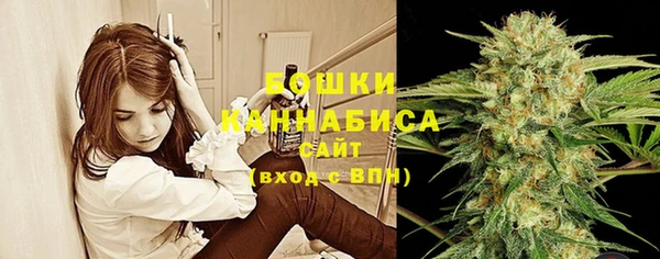 дживик Абаза