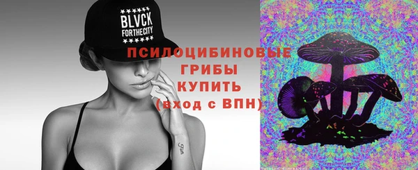 ГАЛЛЮЦИНОГЕННЫЕ ГРИБЫ Алексеевка